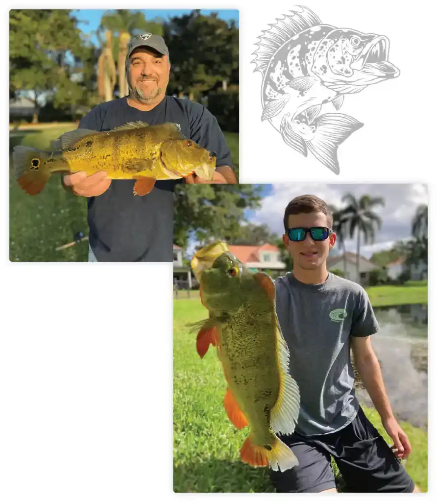 Fishing For Peacock Bass In Florida (The Ultimate Guide)